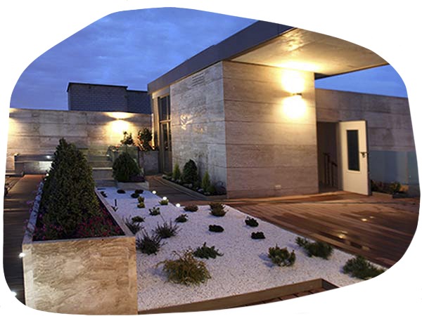 imgi_3_Ilustración_sin_título-1